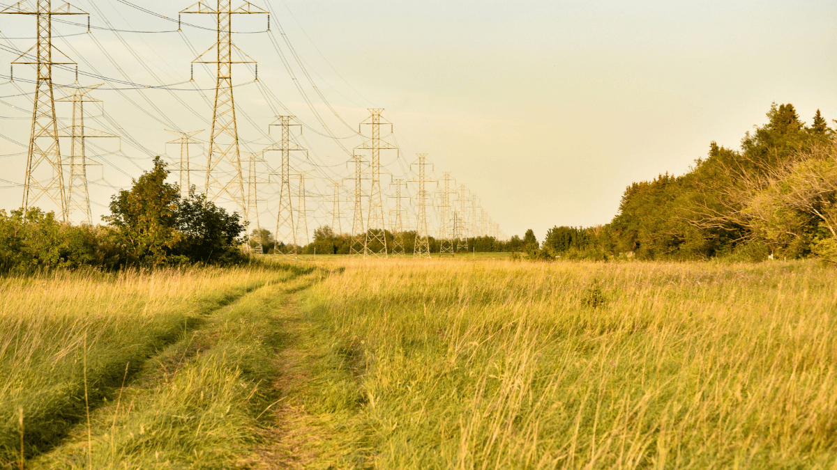 Electricity sector